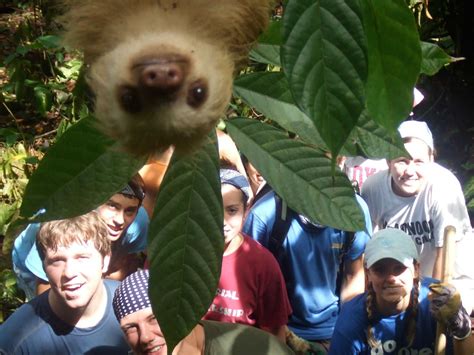 Stealing the Spotlight: The Absolute Best Photobombs of All Time