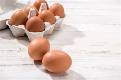 Cara Menyimpan Telur Ayam Setelah Keluar dari Kandang