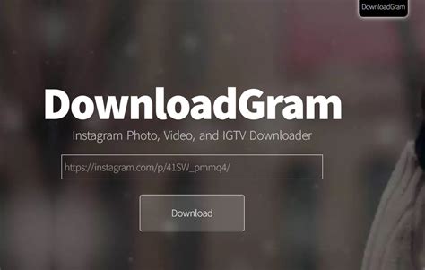 Best Instagram Video Downloader: Online & Desktop & App Solution | iTubeGo
