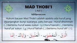 √ Mad Thobi'i: Pengertian, Huruf, Hukum Bacaan, Panjang dan Contohnya