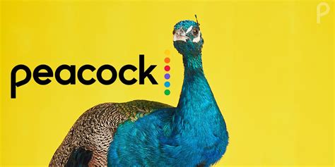 Peacock TV 3.11.14 APK Download for Android (Latest Version)