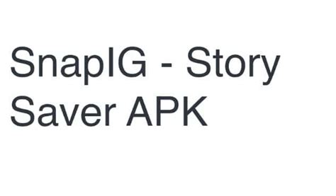 SnapIG Apk Insta Saver - Download Story, Reels, Video IG